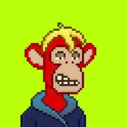 Robin Apes #799
