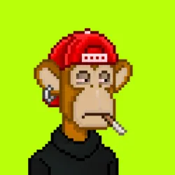 Robin Apes #882