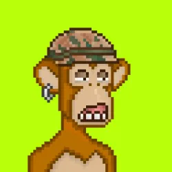 Robin Apes #722