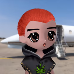 Hoodilio #1270