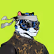 Baihu the Tiger #3511