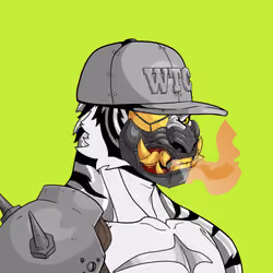 Baihu the Tiger #4994