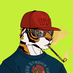 Baihu the Tiger #655