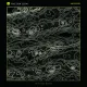 25594