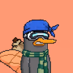 Platypus INC #695