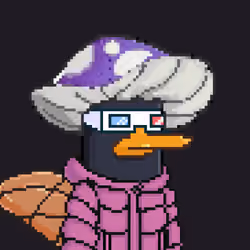 Platypus INC #623