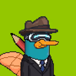 Platypus INC #1621