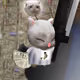 Kupo #5