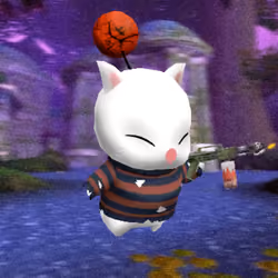 Kupo #1428
