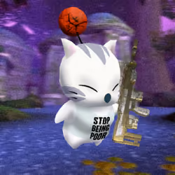 Kupo #1008