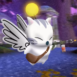 Kupo #3384