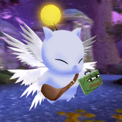 Kupo #4364