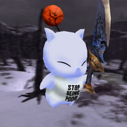 Kupo #1427