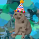 685