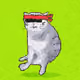 Cash Whiskers #29