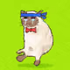 Cash Whiskers #19