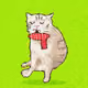 Cash Whiskers #691