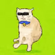 Cash Whiskers #15