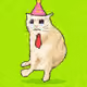 Cash Whiskers #126