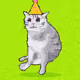 Cash Whiskers #10