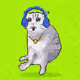 704