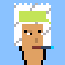 Hood Punk #1496