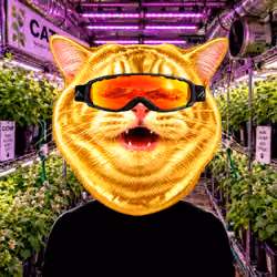 VRAX #02432