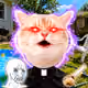 1567
