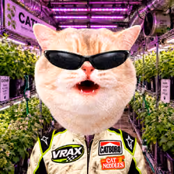 VRAX #01821
