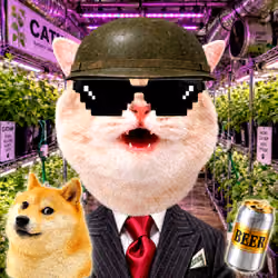VRAX #05425