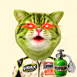 VRAX #03982