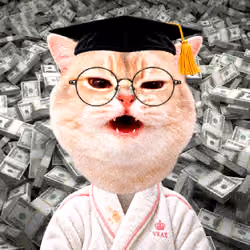 151