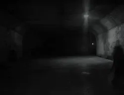 ILLUSION_RH #338