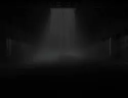 ILLUSION_RH #259