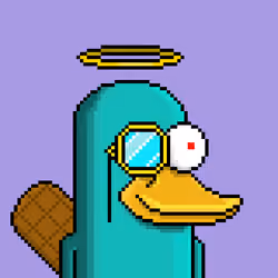 Platypus #4377