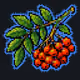 Rare Rowan