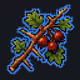 Rare Hawthorn