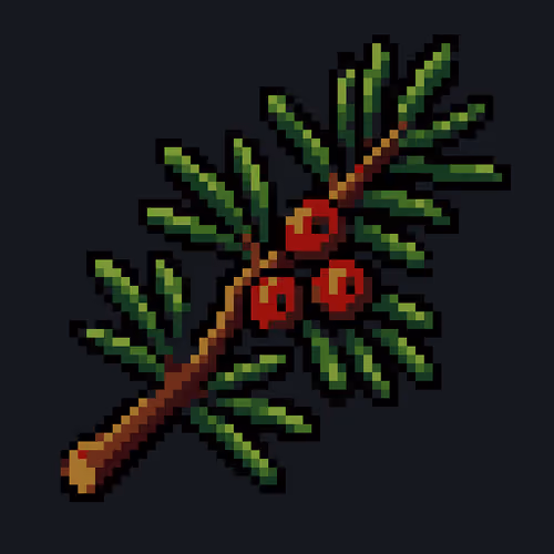 Common Yew