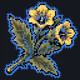 Rare Henbane