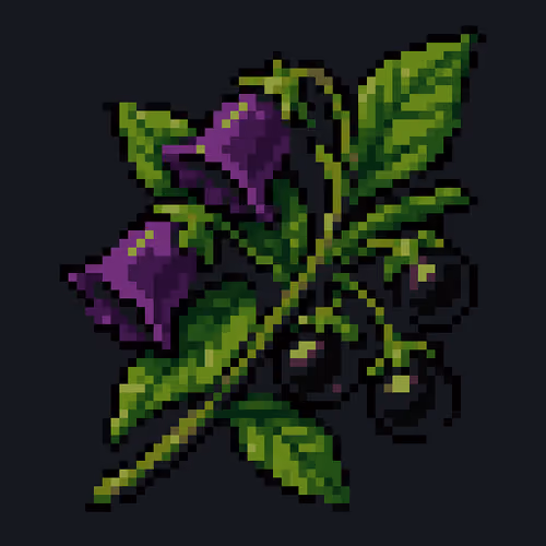 Common Belladonna