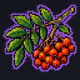Epic Rowan