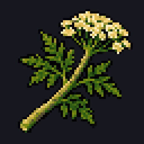 Common Hemlock