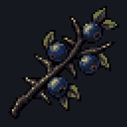 Common Blackthorn