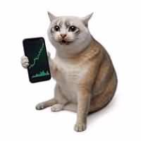 STOCKCAT
