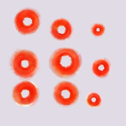 1186