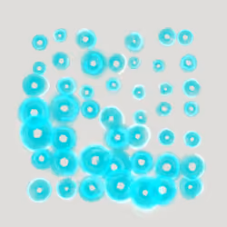 1011