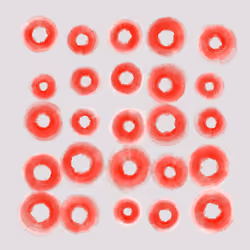 1706