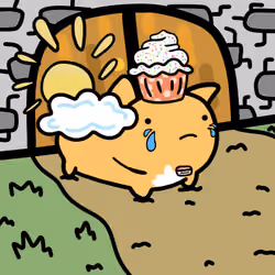 RobCats #528