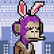 ROO APE-X #739