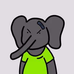 Robinhood Elephants #3645